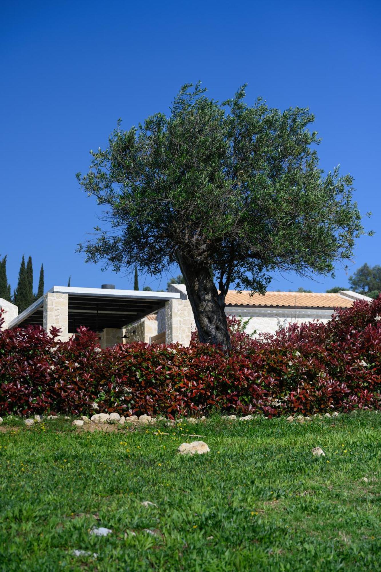 Villa Mega Lithari Corfu Luxury *